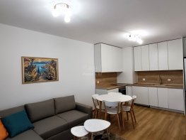 Под Наем Двустаен Апартамент София Дървеница   -  650 EUR